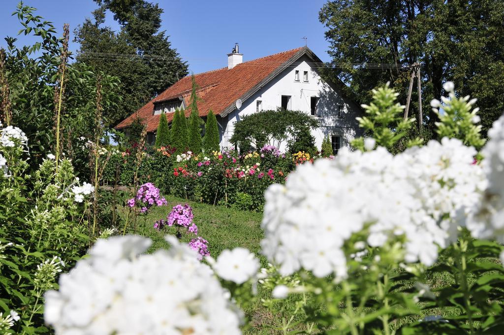 Agroturystyka Orzechowe Wzgorze Orzechowo  Exterior photo